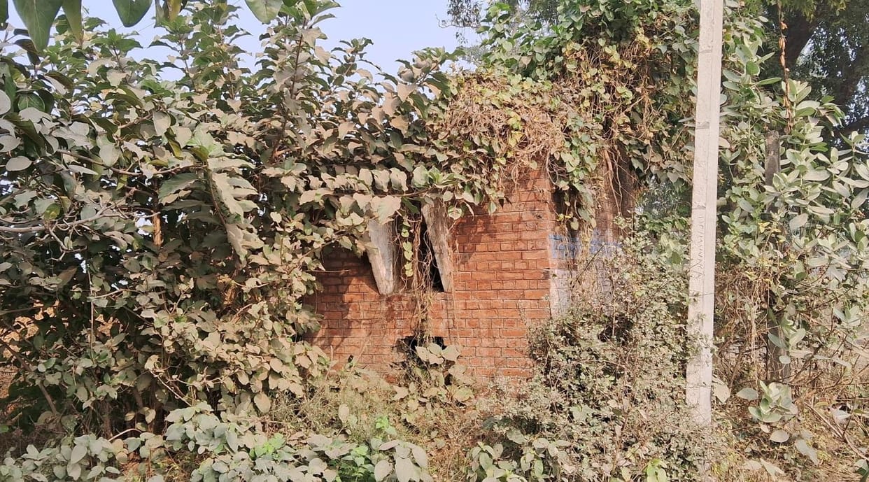Government tube wells have been closed for 15 years, farmers are facing water crisis