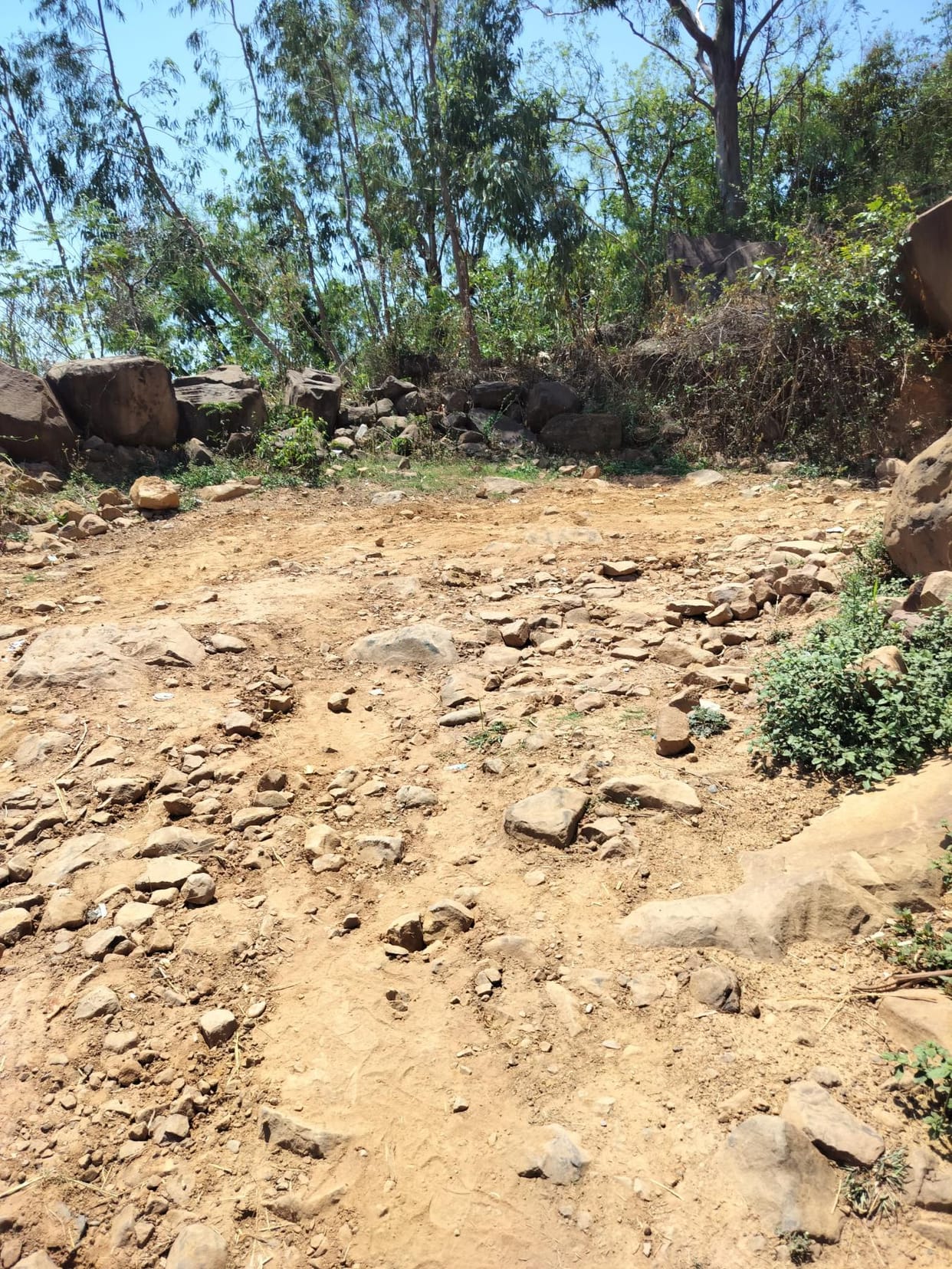 The road of Mohalla Tali is in bad condition