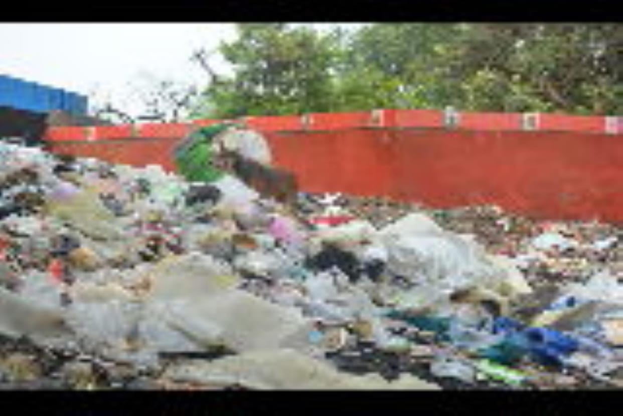 Minister's inspection has no effect, garbage still remains in the park and on the road