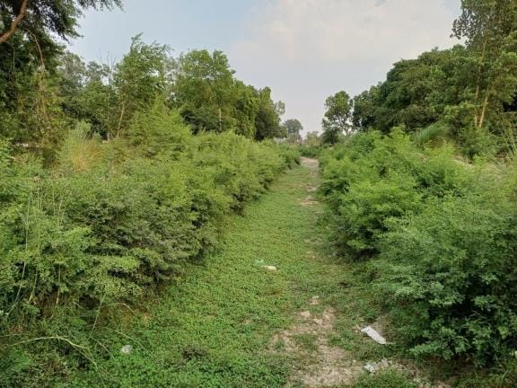 Canals are covered with bushes, how can irrigation be done