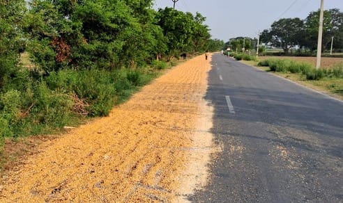Roads cordoned off to dry corn...people's lives at risk