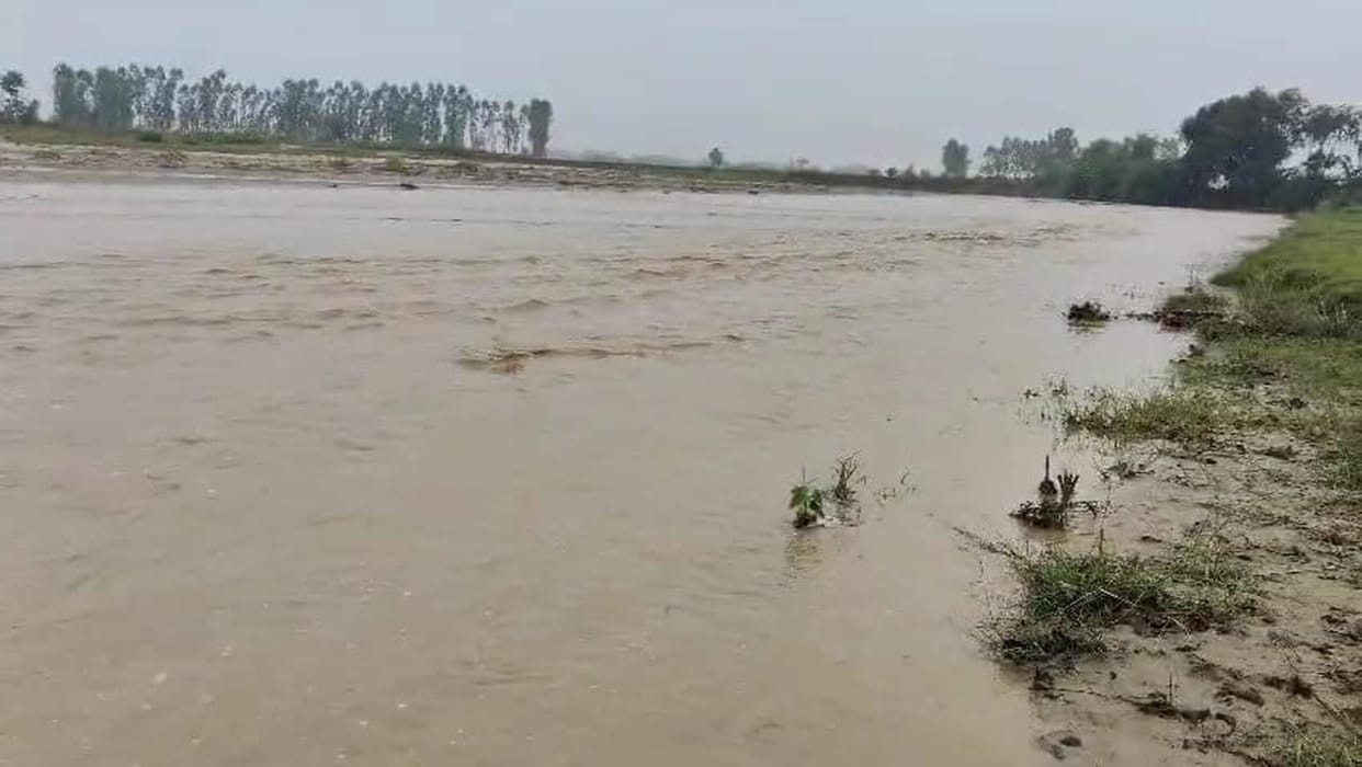 Weather is pleasant due to rain, mountain streams are overflowing