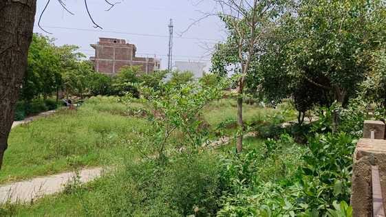 Even after the accidents, drainage was not managed in the parks of HUDA sector