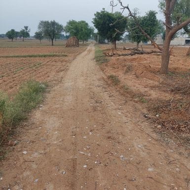 The unpaved road to the cremation ground has become a problem for the citizens