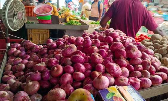 Centre starts selling onions at Rs 24 per kg, tomatoes at Rs 30 per kg News In Hindi