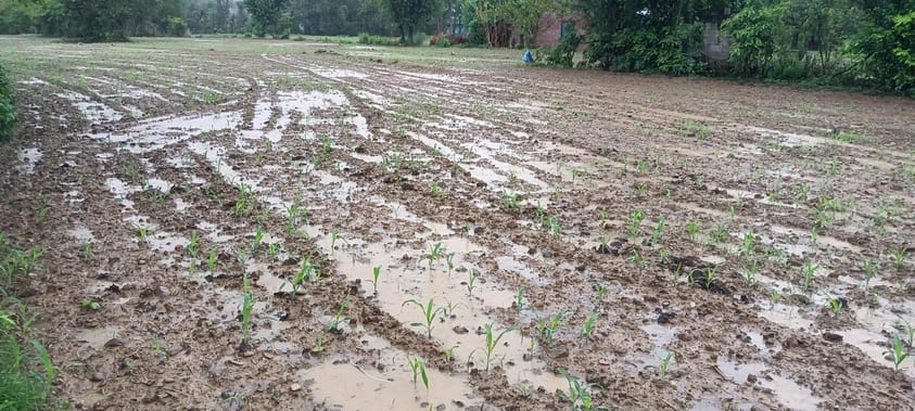Heavy rains in the district, relief from heat