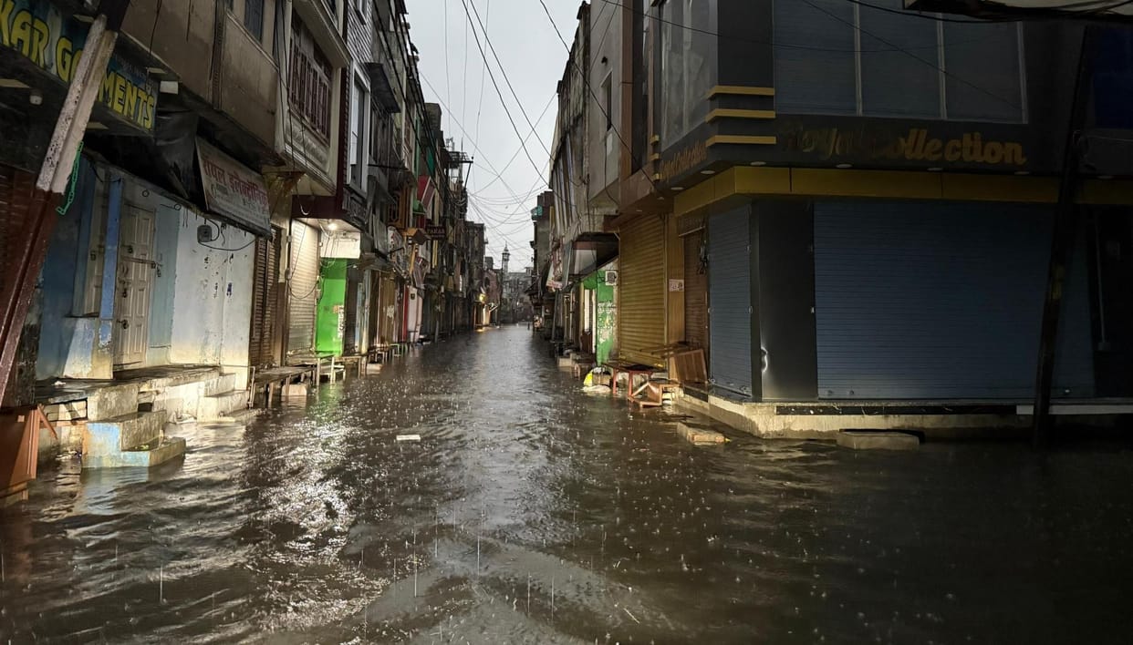 Waterlogging due to rain, damage to corn