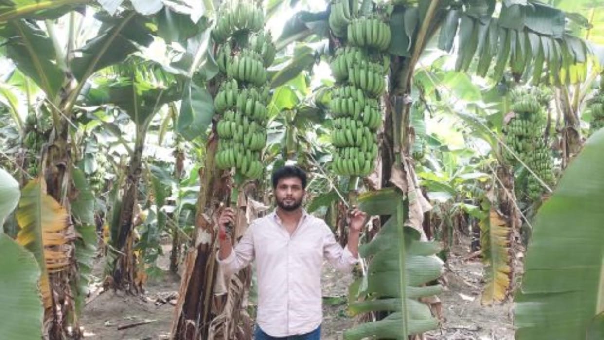 24 year old youth became a progressive farmer by cultivating banana