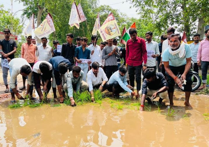Expressed displeasure over non-construction of road, planted paddy