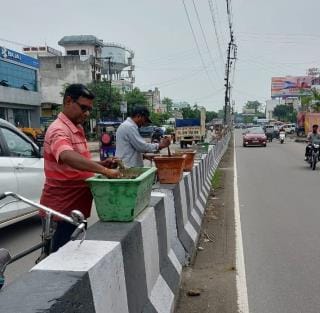 New plants were planted after removing the dried plants, responsibility for their care will be decided