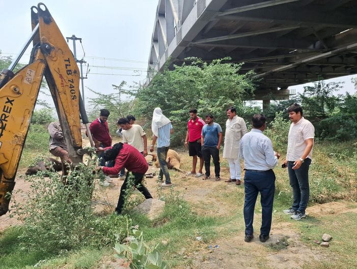 11 cows died after being hit by Janshatabdi train