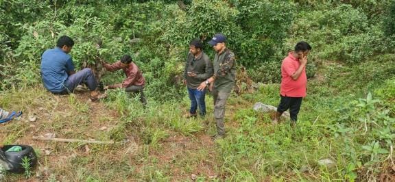 Trap cameras installed to detect bear activity
