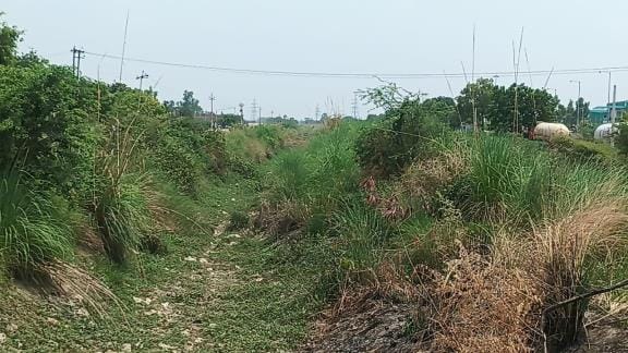 Crores were spent like water, but the canals were not cleaned
