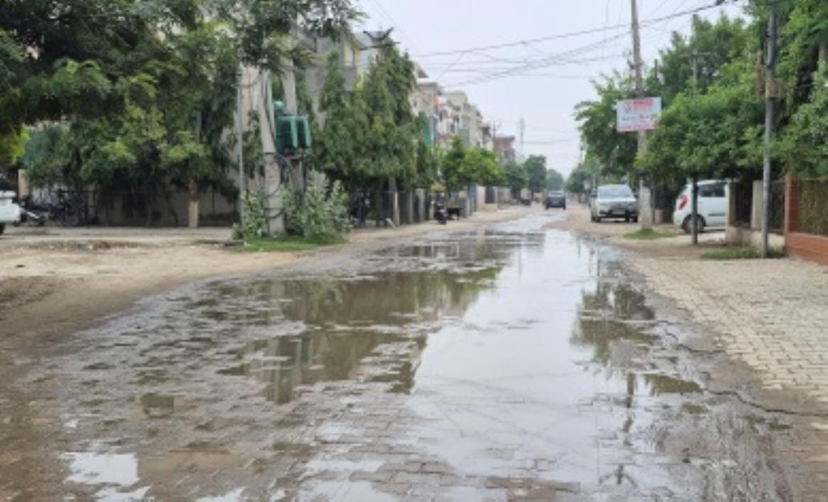 Haryana Urban Development Authority's 10 MLD sewerage treatment plant is connected to the drain, yet the sector residents will face problems during monsoon