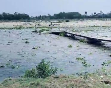 Flood in Swan river caused temporary bridge
