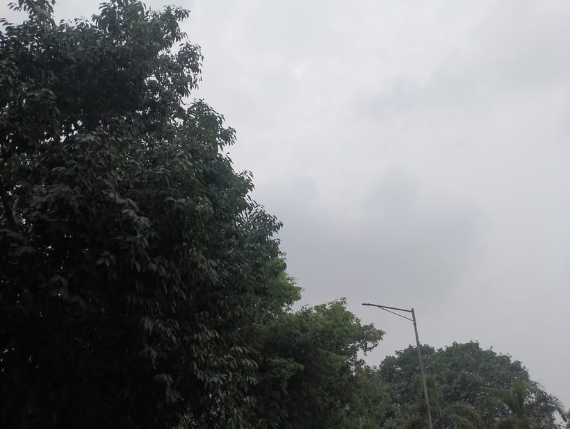 Sporadic drizzle in the morning, humidity remained throughout the day