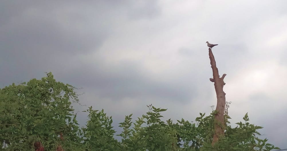 Meerut Weather Report: Clouds covered the sky for two days, know what meteorologists said about the rain