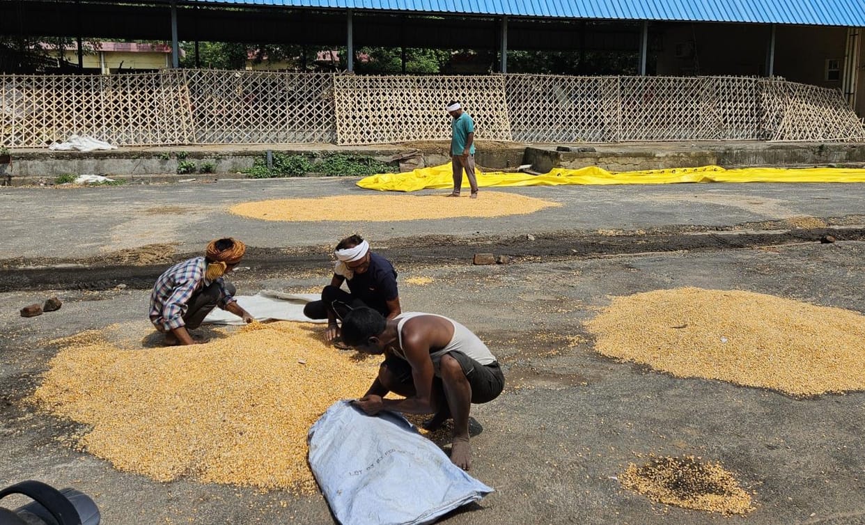The rain ruined the hard work of the farmers