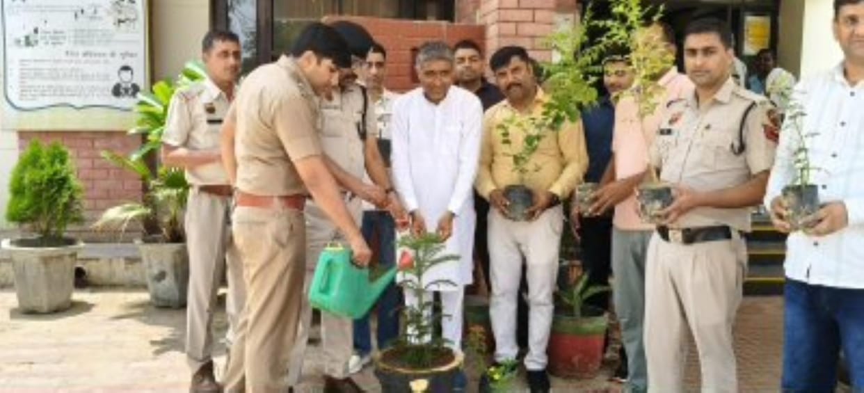 51 plants were planted in the police station, giving the message of greenery