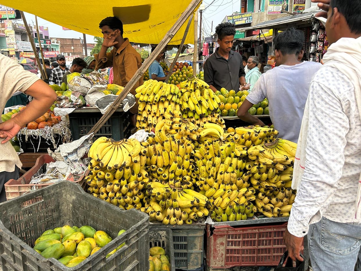Chemical colour in excessively yellow bananas, will spoil health