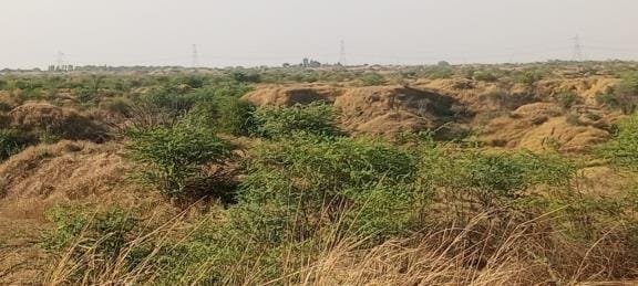 Investigation has begun into the auction of the power plant's valuable land worth crores