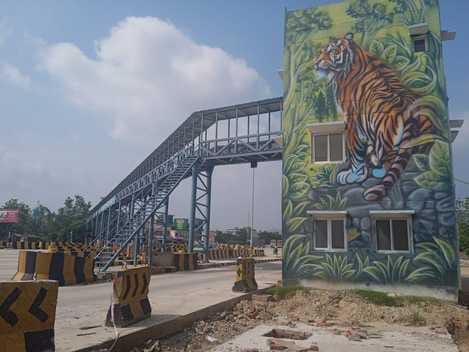 Green corridor will be developed with 40 thousand trees on the expressway