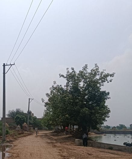 Officers of the Electricity Corporation Naguran removed the wires from above the Dahaula pond
