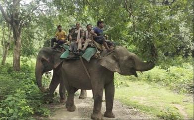 Elephant patrolling started in Dhela and Jhirna range