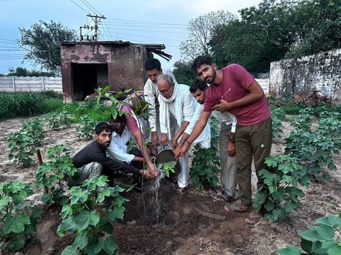Planted 11 trees to protect the environment