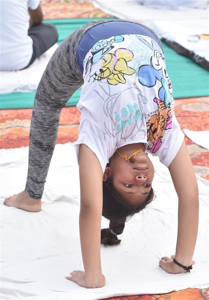 Yoga is the basis of a healthy life: Vivek Kumar Garg