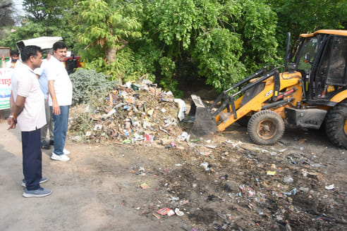 469 dogs were caught in the city, 449 were operated upon