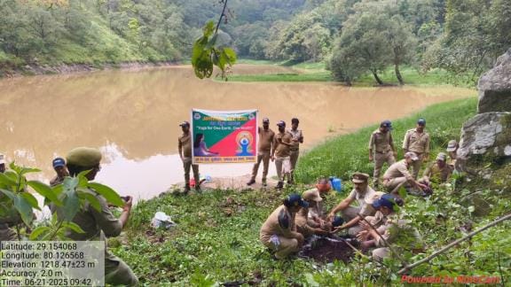 Forest workers planted saplings in Attarbanda lake of Boom range
