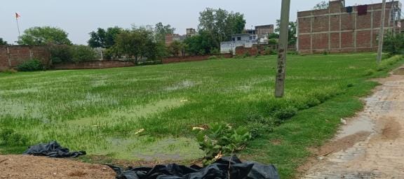 Dirty water is filling up the plots in Ambedkar Nagar