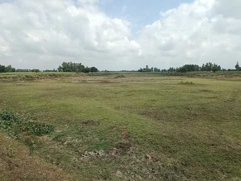 Due to negligence, the water of the origin of the Sai river dried up