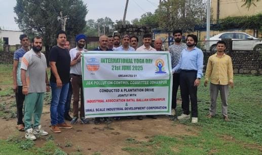 Tree Plantation