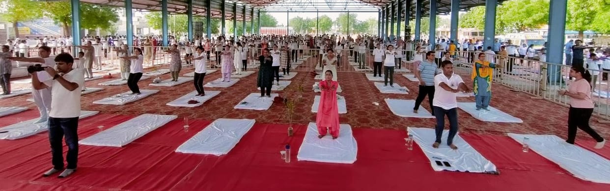 If you do yoga every day, you will remain healthy: MP