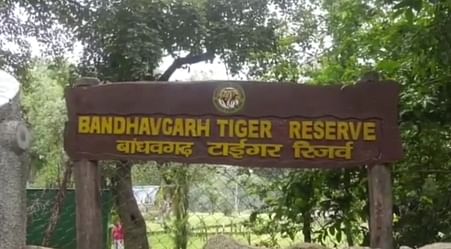बांधवगढ़ टाइगर रिजर्व