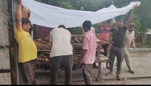 A woman transplanting paddy died due to snake bite