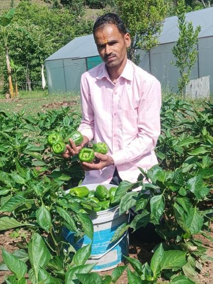 The barren land of Ghingharutola is yielding gold due to Deep's hard work