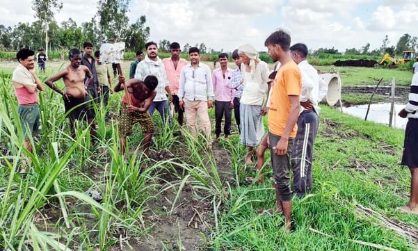 The water of Sharda canal will flow in Bhainsi river