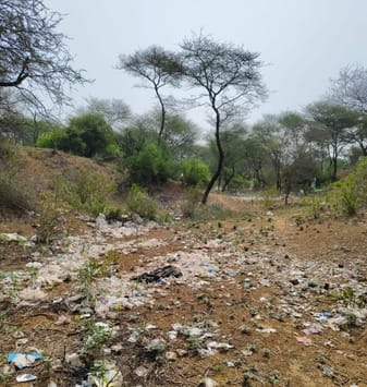 Biomedical waste is being dumped on the hills of Aravali forest area