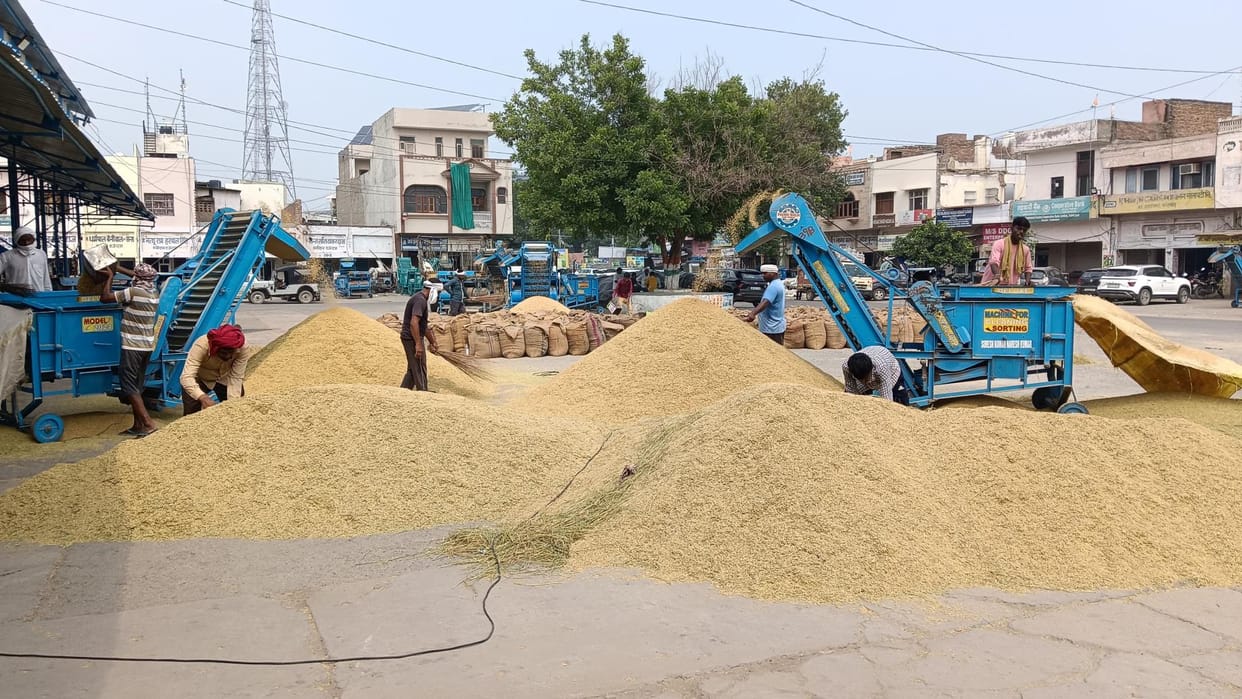 The decline in the price of basmati rice due to the Iran-Israel war, with Haryana accounting for 40 percent of the total rice exports from the country.