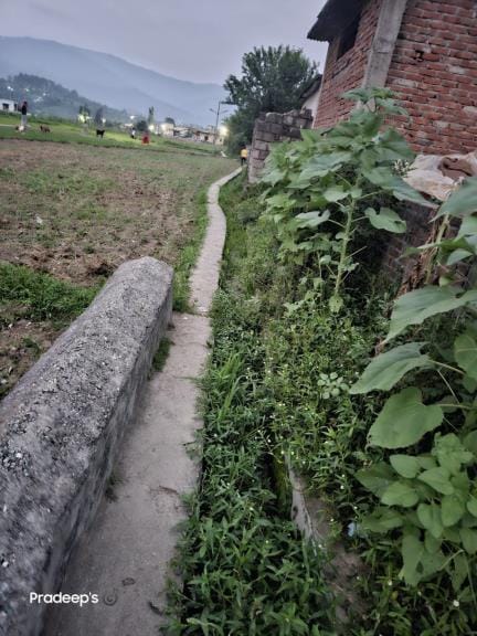 Anger due to non-cleaning of Gadser canal