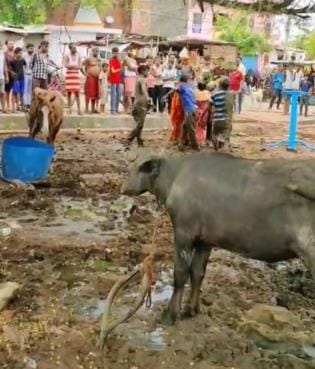 When the woman asked for the toilet fee, she was thrown in the mud and beaten brutally