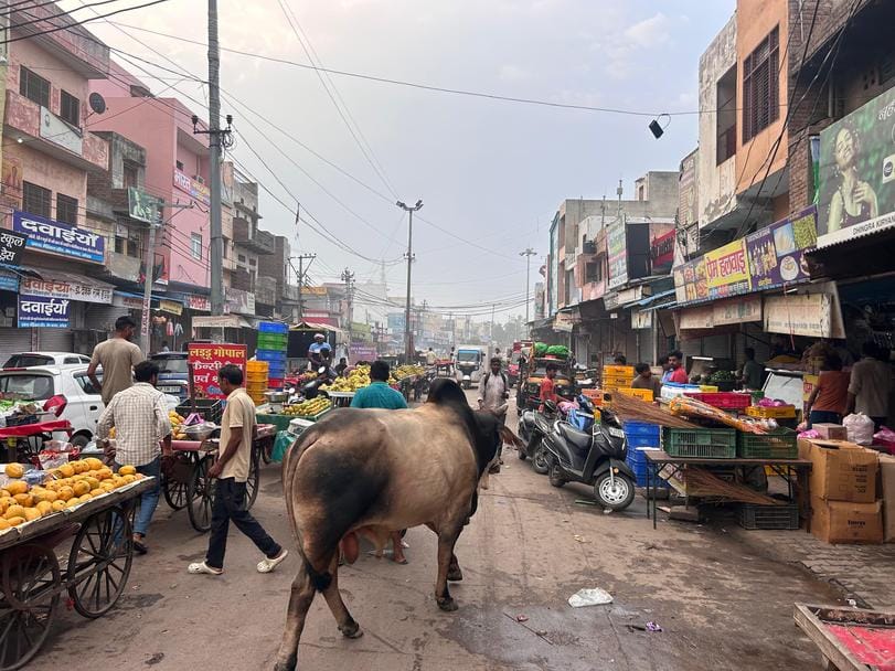 There is a jam situation in the main market of Sampla, people are troubled