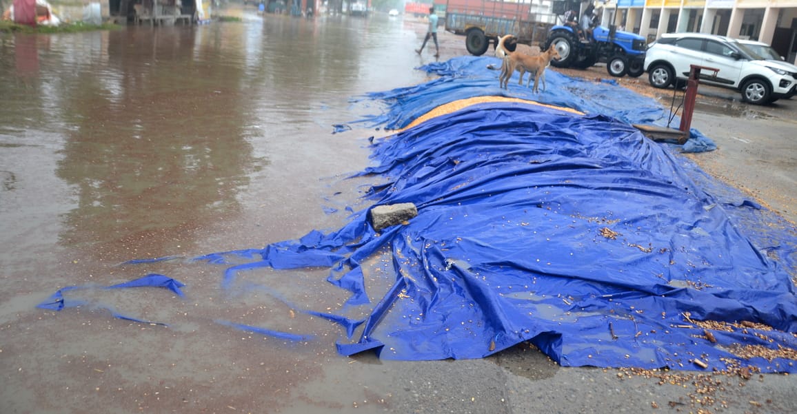 Temperature dropped due to one hour of rain, waterlogging increased problems
