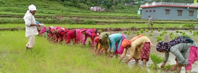 The plantation started with the beats of the drum and mythological tales