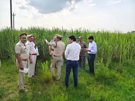 Tiger combing will be done using mesh tractor
