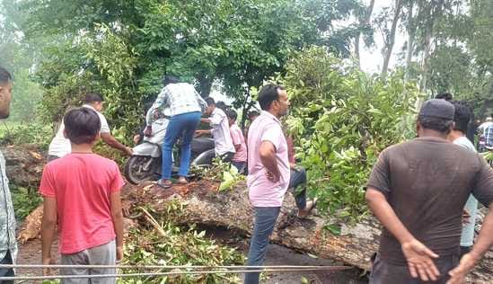 The road was blocked due to the falling of a tree, five electricity poles were also broken