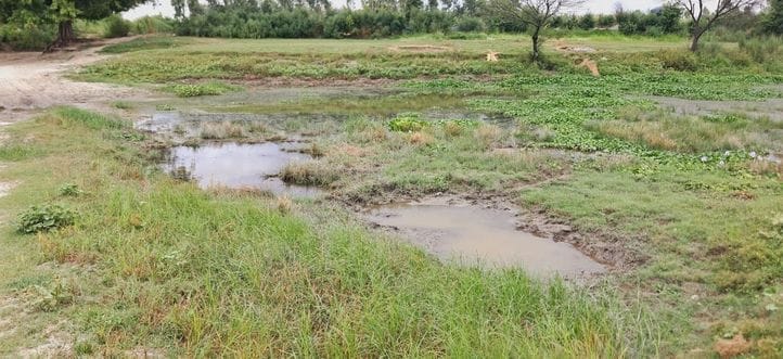 Tender process completed but still bridge construction on Mahawa river has not started